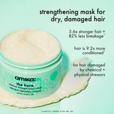 mane menders strength repair wash + care set
