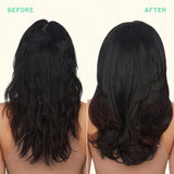 mane menders strength repair wash + care set