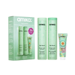 mane menders strength repair wash + care set
