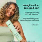 mane menders strength repair wash + care set