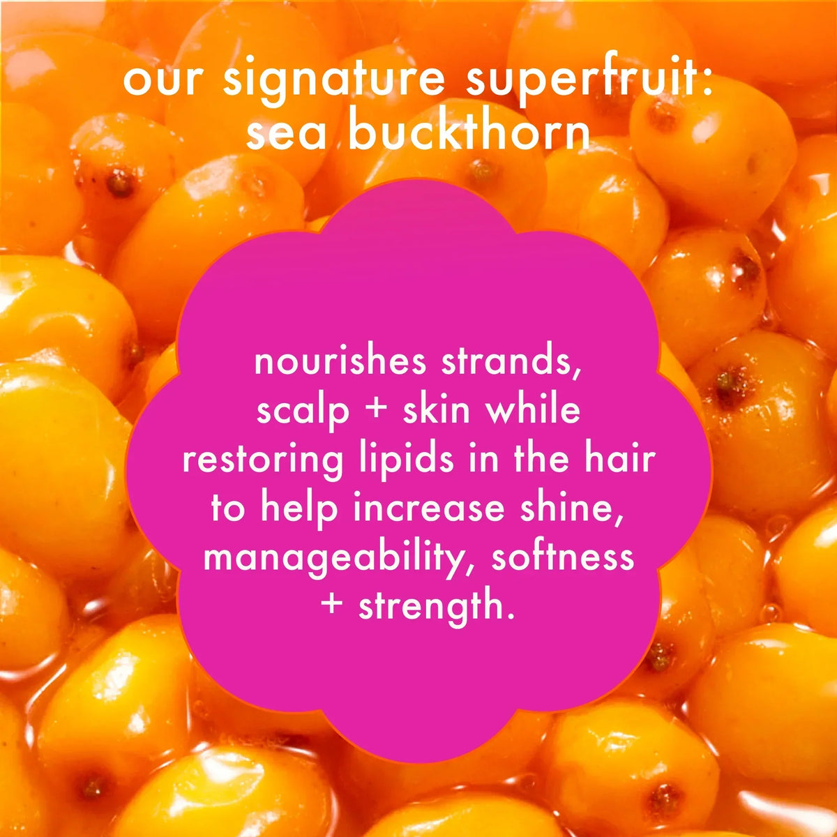iconic volume wash + style set big hit volumizing shampoo + conditioner + rising star volumizing spray